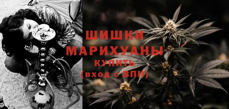 Конопля OG Kush  Верея 